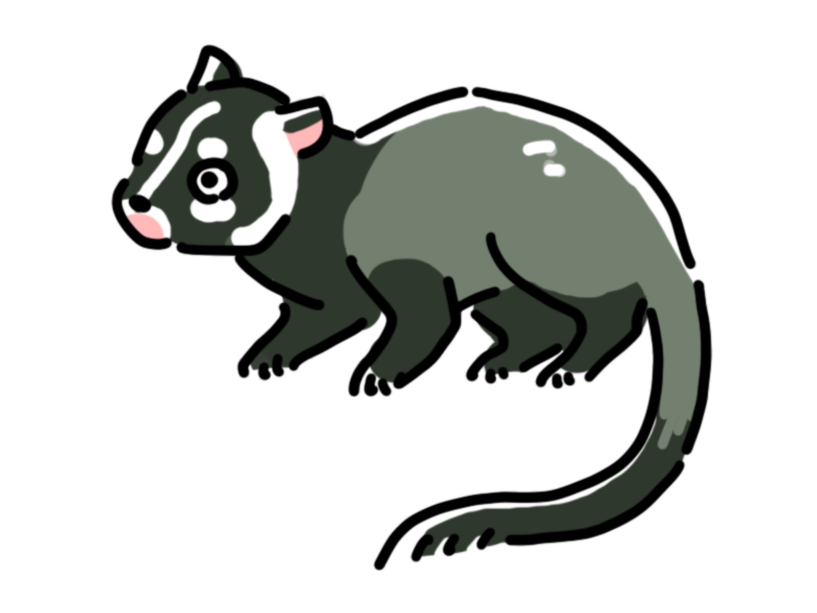 ハクビシンのしっぽ