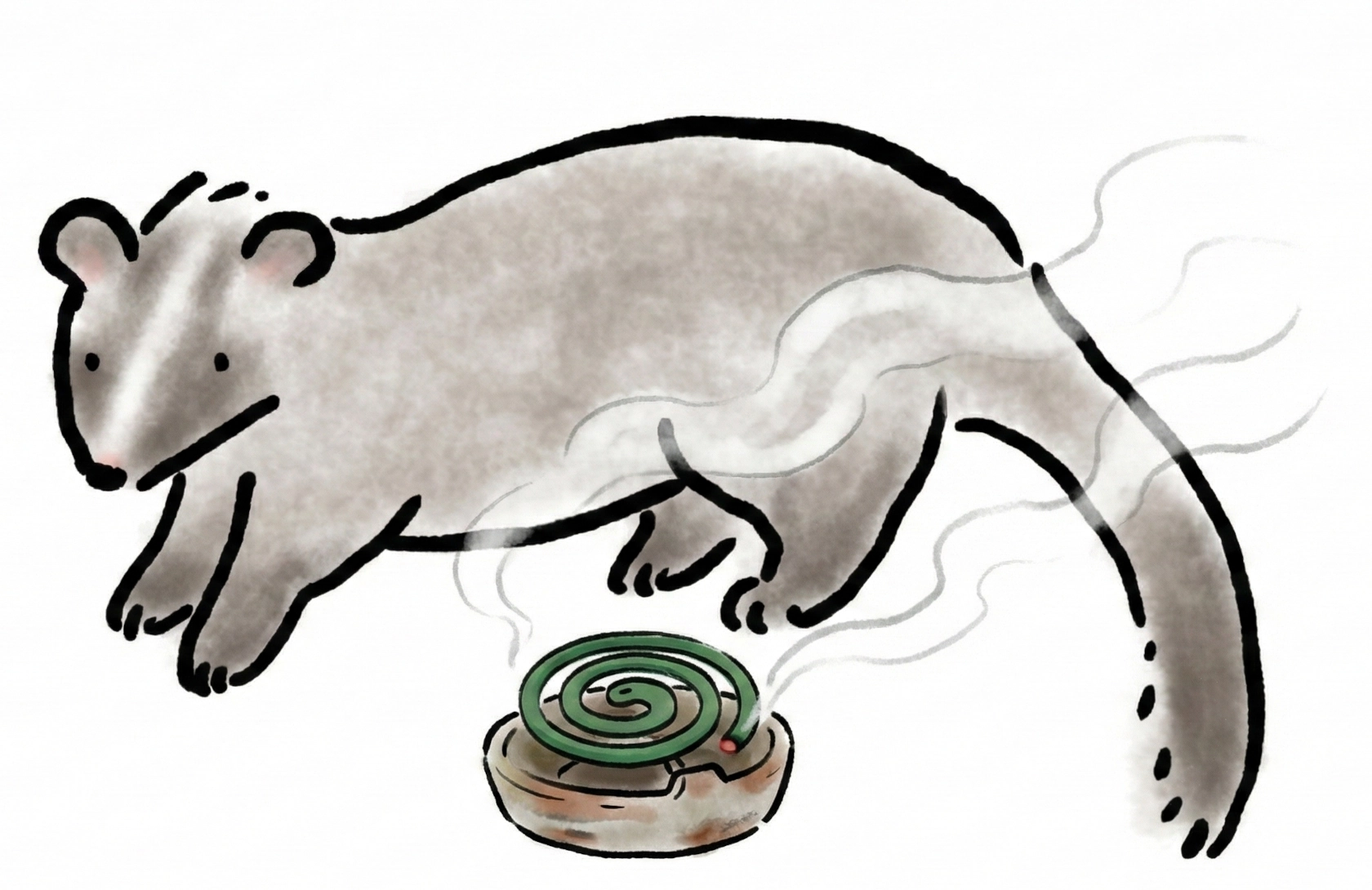 蚊取り線香の煙を嫌がらないハクビシン