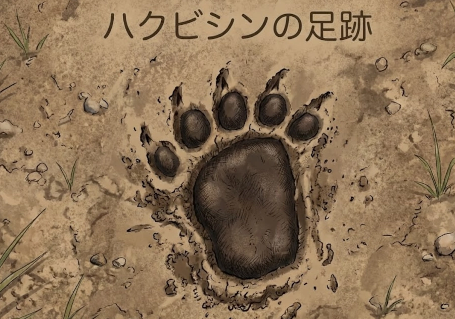 ハクビシンの足跡
