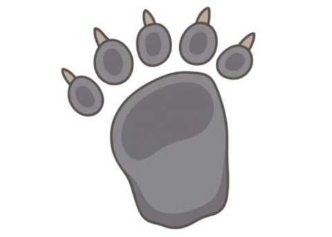 ハクビシンの足跡